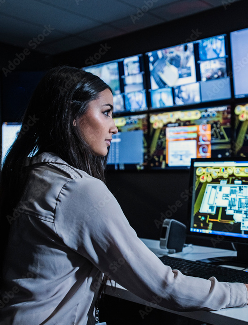 MoonGuard Security Integrators LLC